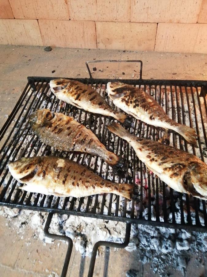 Pinto